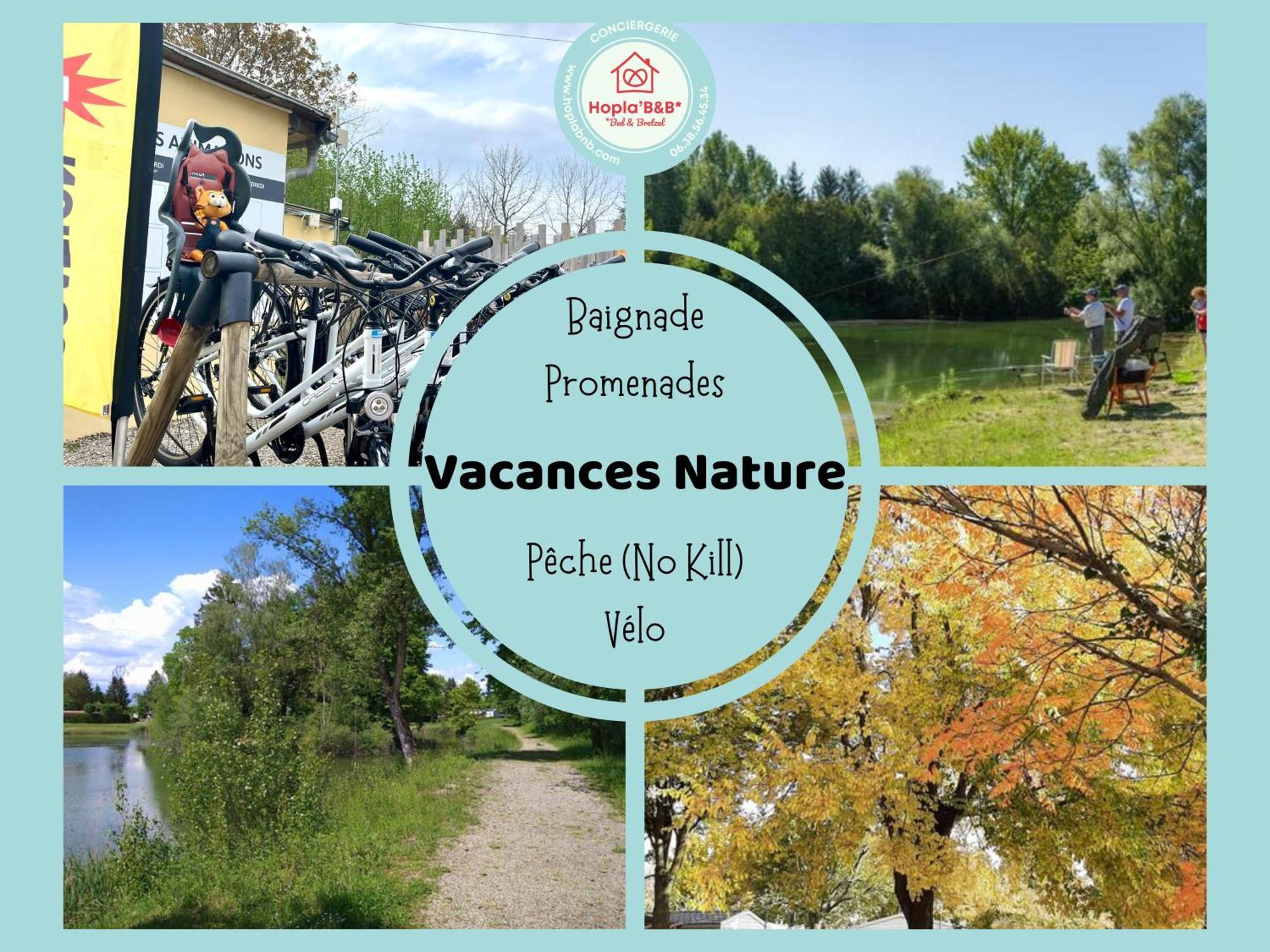 Chez Philippe Et Sylvie - 2 Bungalows Pour 5 Proche Europa-Park Boofzheim Luaran gambar